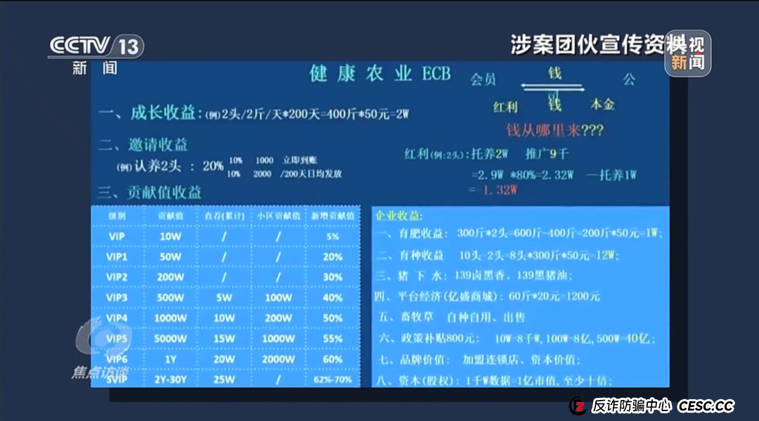 “云养殖”里藏骗局