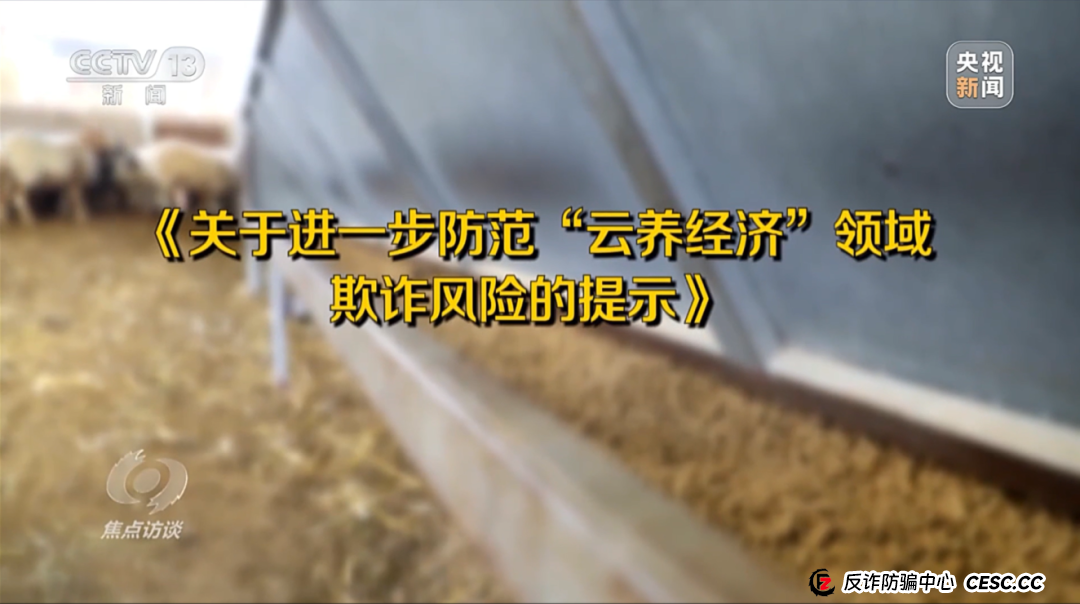“云养殖”里藏骗局