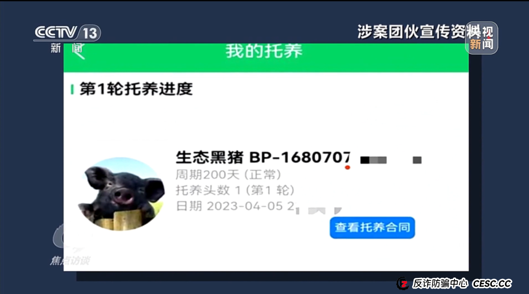 “云养殖”里藏骗局