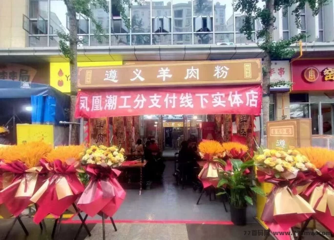 多元赚米模式，凤凰潮零撸快赚助力团队月入轻松破十万！