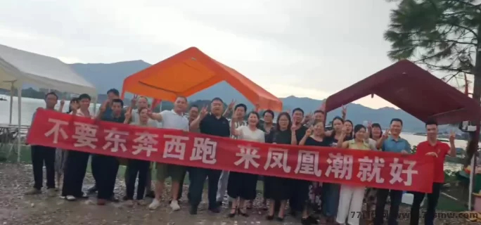 多元赚米模式，凤凰潮零撸快赚助力团队月入轻松破十万！