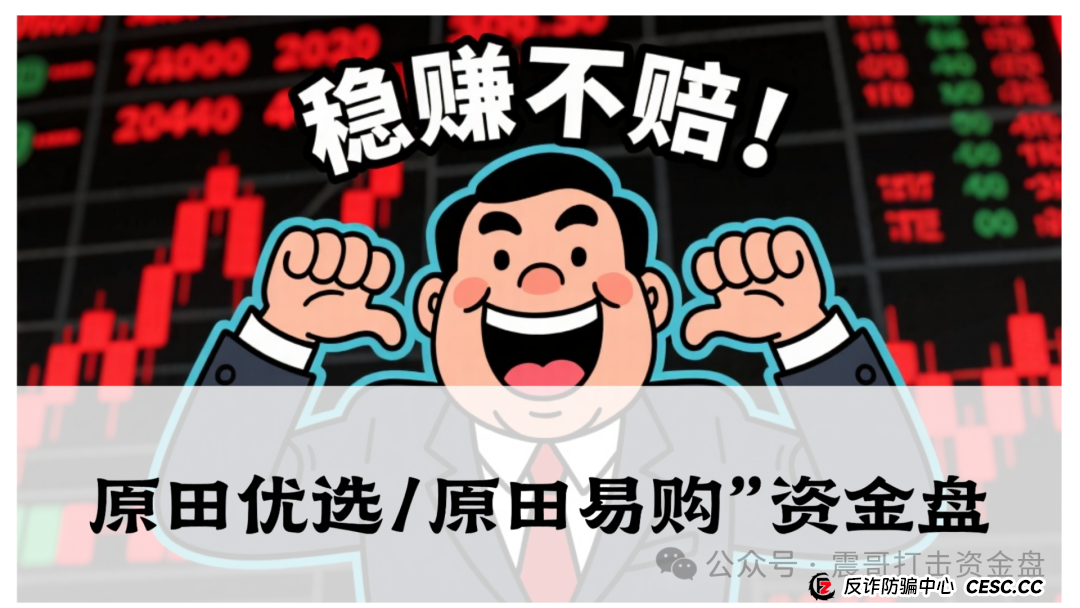 震哥独家起底“原田优选/原田易购”资金盘骗局：披着电商外衣的庞氏收割机