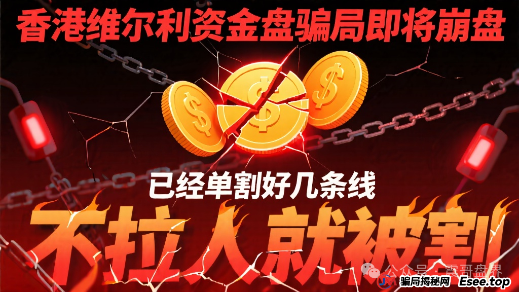 香港维尔利资金盘骗局即将崩盘,已经单割好几条线,不拉人就被割 香港维尔利资金盘骗局即将崩盘,已经单割好几条线,不拉人就被割