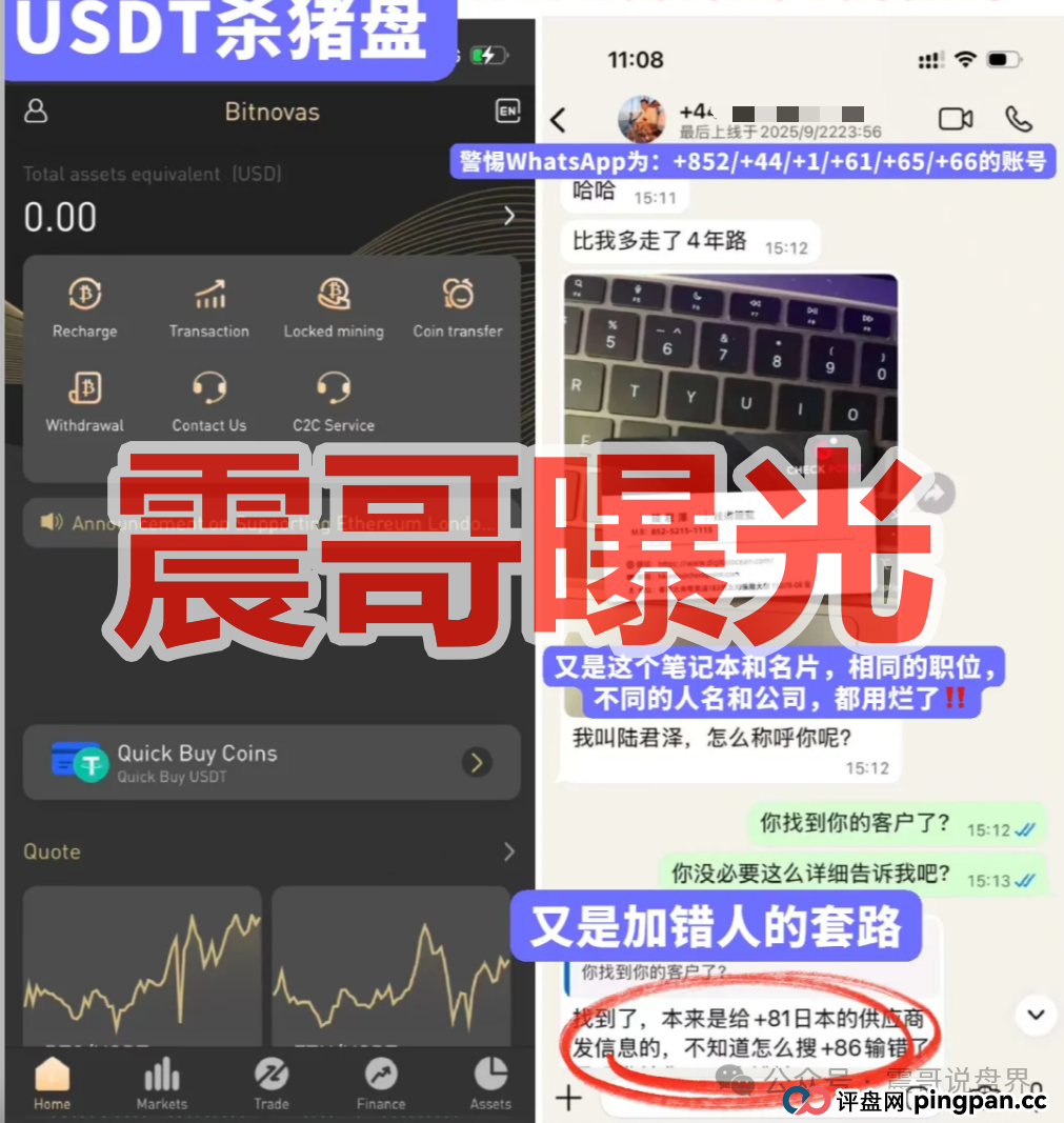 Bitnovas资金盘骗局，纯纯的恋爱杀猪盘，看见一定要远离