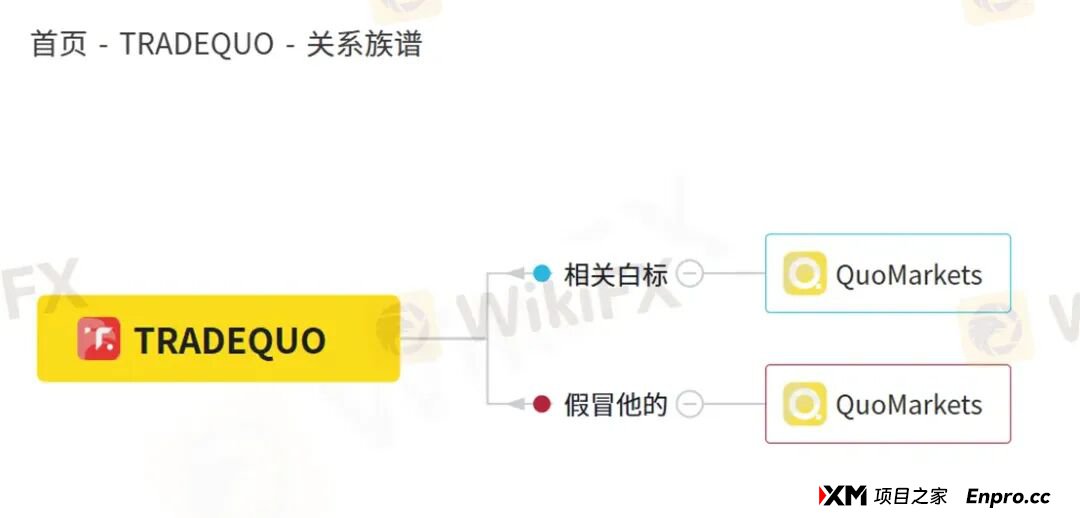 百倍的收益曲线难掩真相 为何TRADEQUO平台的跟单不可信!